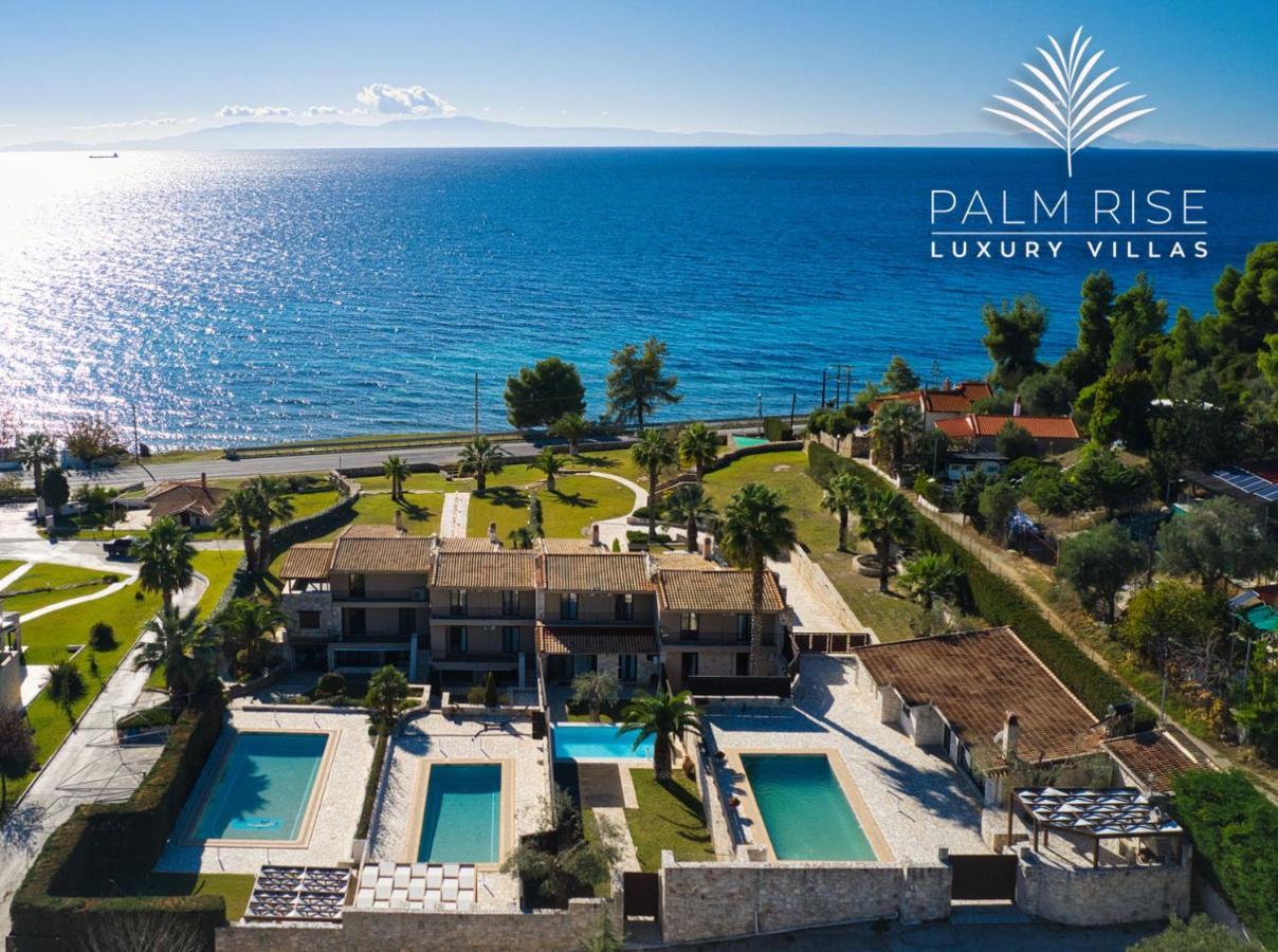 Palmrise Luxury Villas By Travel Pro Services - Nea Skioni Halkidiki Εξωτερικό φωτογραφία